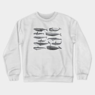 Whale - Whales Vintage Image Crewneck Sweatshirt